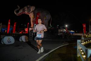 BIB: 
                            <button type="button" onclick="openModal(26551941)" class="btn btn-primary btn-sm float-right btn-popup" data-toggle="modal" data-target=".modal-high-quality">
                        <i class="fas fa-shopping-cart"></i> Add to Cart
                    </button>
                                            <button type="button" onclick="isThisMe(26551941, true)" class="btn btn-success btn-sm float-right btn-popup btn-isme hidden" data-toggle="tooltip" data-placement="bottom" title="นี่คือรูปของคุณใช่ไหม คลิกที่นี่เพื่อเอาเข้าอัลบั้ม">
                        <i class="fas fa-plus"></i> Add to album
                    </button>
                    <button type="button" onclick="isThisMe(26551941, false)" class="btn btn-warning btn-sm float-right btn-popup btn-isnotme hidden">
                        <i class="fas fa-ban"></i> Remove from album
                    </button>